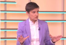 Brnabić: Nagovaram Vučića da ne ide u Crnu Goru, ali on ni da čuje